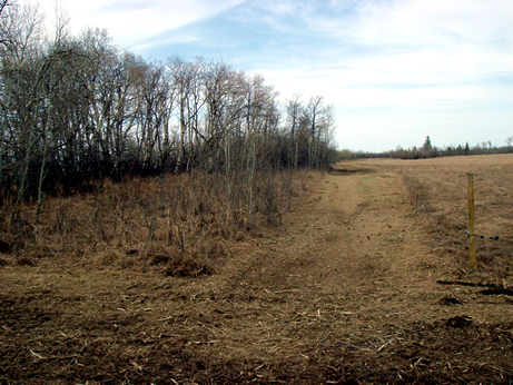 mulcher picture