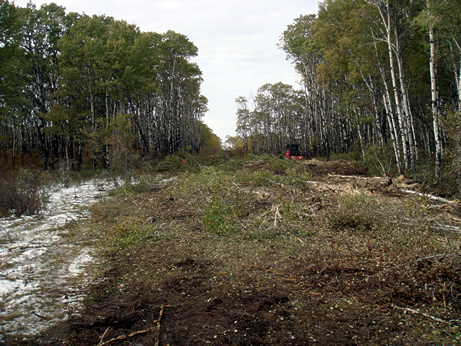 mulcher picture