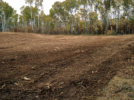 mulcher picture