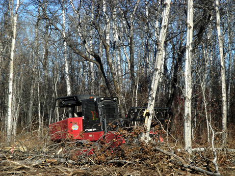 mulcher picture