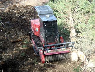 Mulcher Slasher